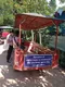 carousel chooser
