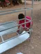 carousel chooser