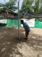 carousel chooser