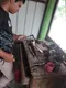 carousel chooser