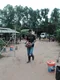 carousel chooser