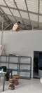 carousel chooser