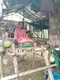 carousel chooser