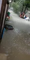 carousel chooser