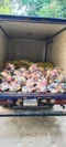 carousel chooser