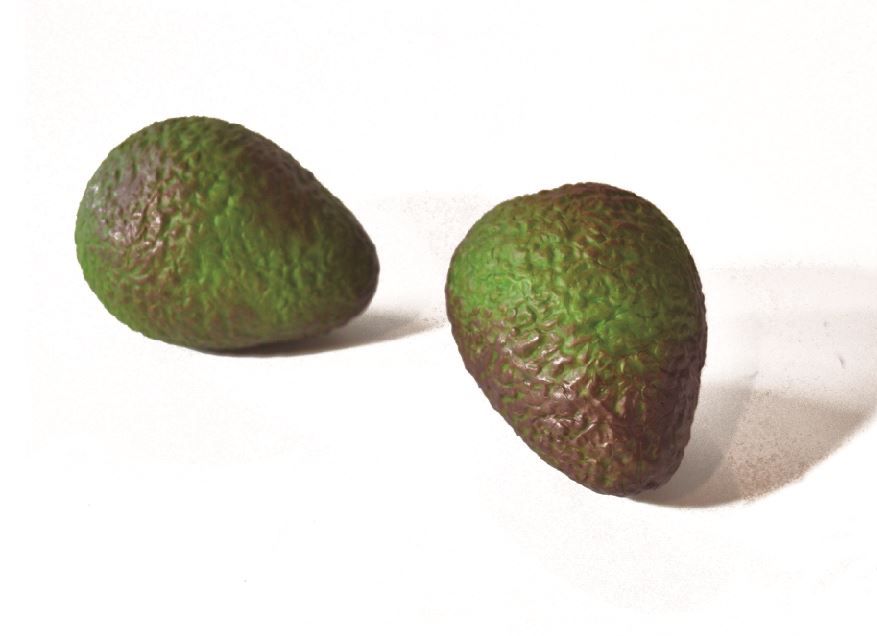 Aguacate Hass