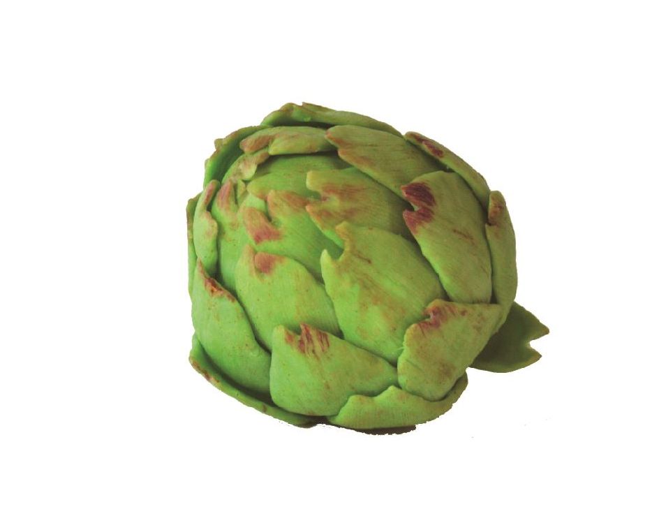 Alcachofa