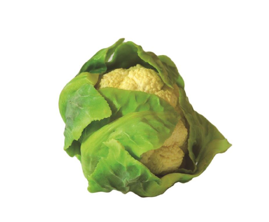 Coliflor