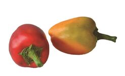 Pimenton