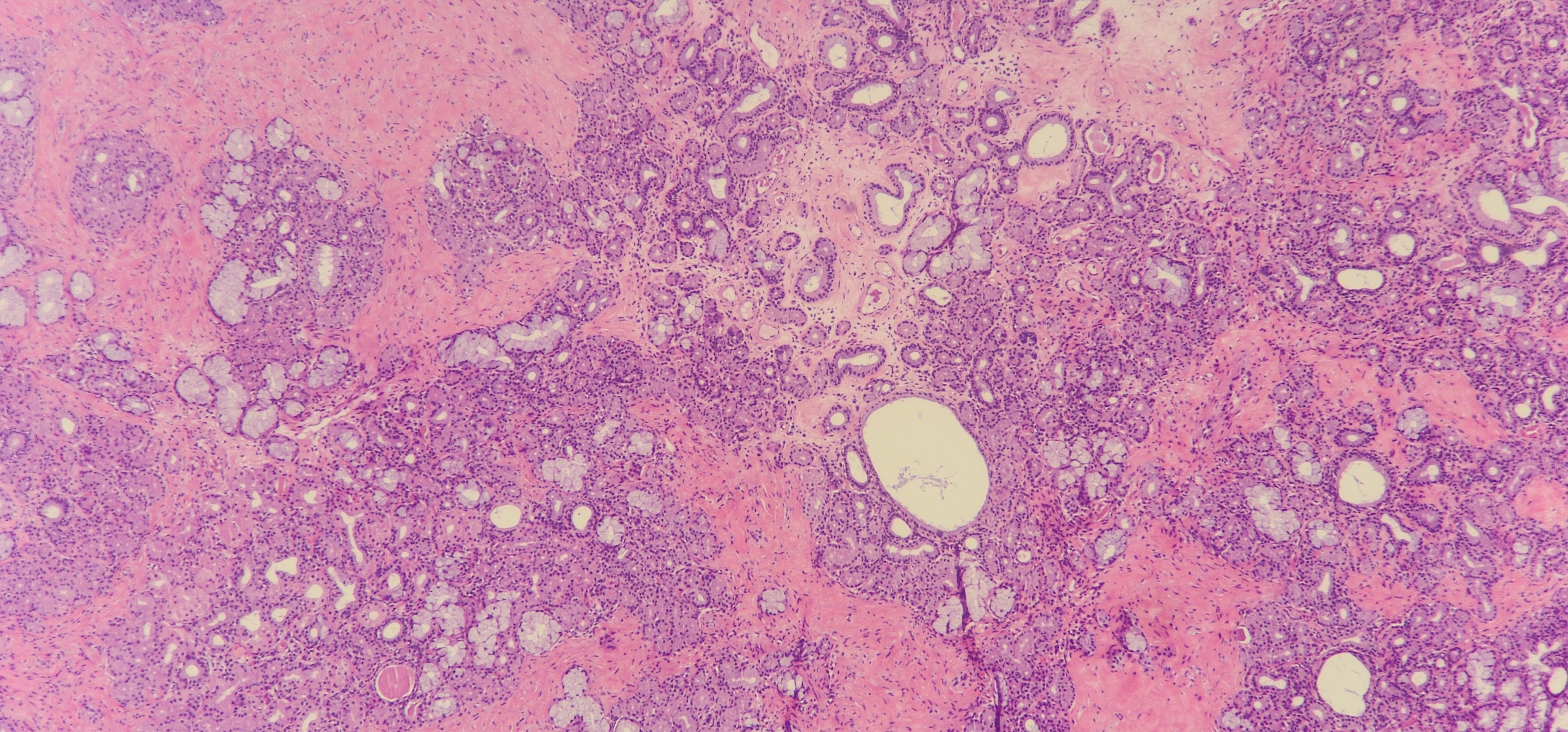 Case of The Month 
