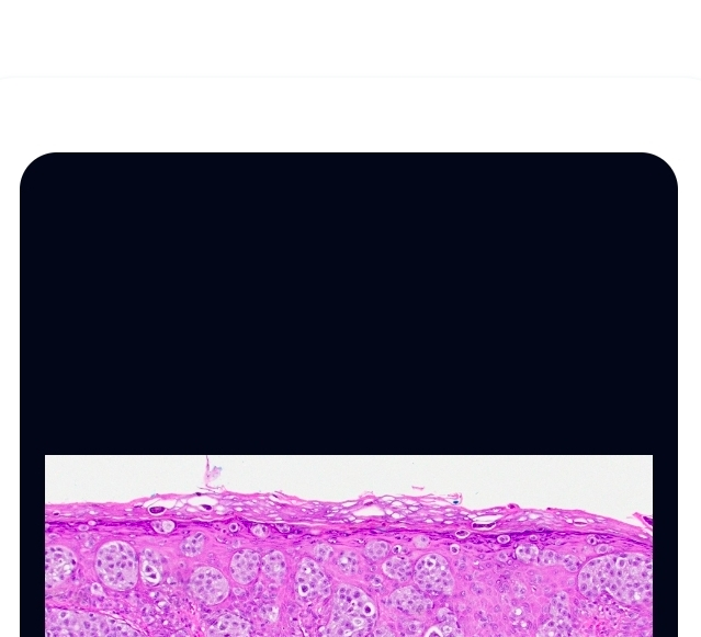 Dermpath Quiz