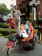 carousel chooser