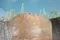 carousel chooser