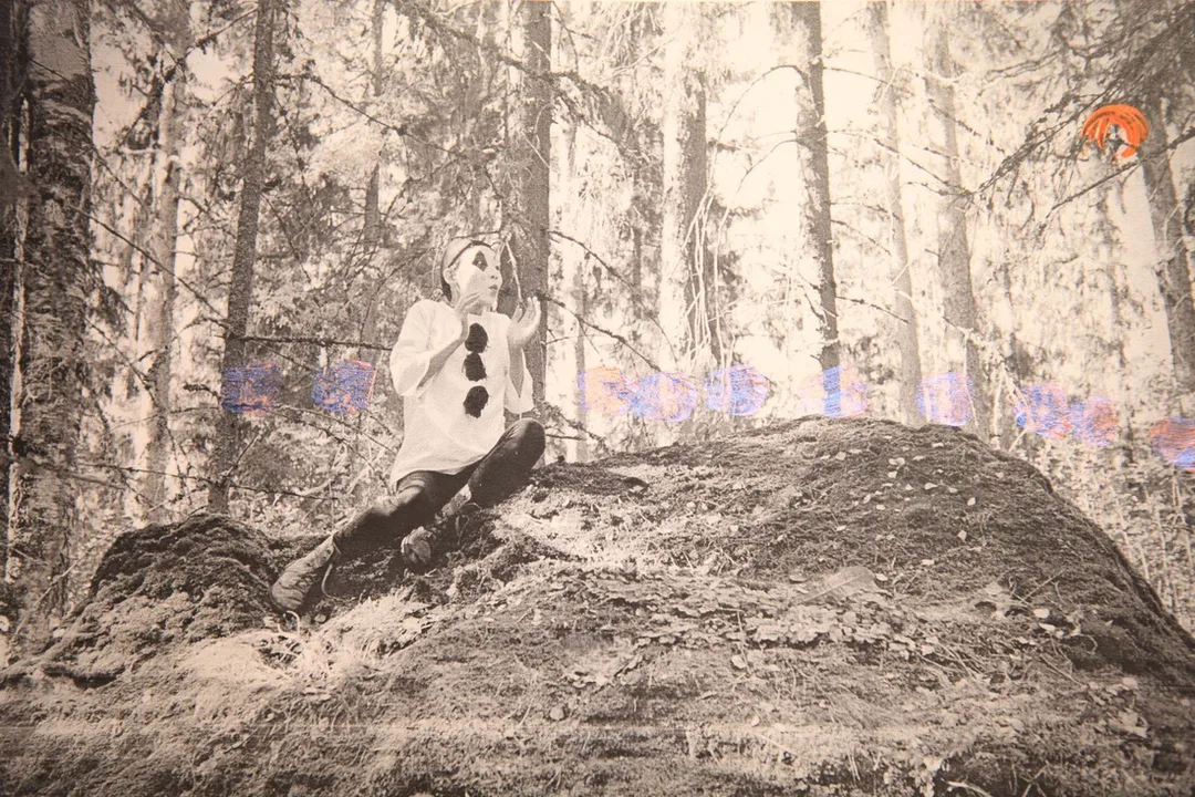 Picture