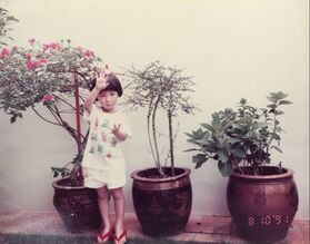 Picture