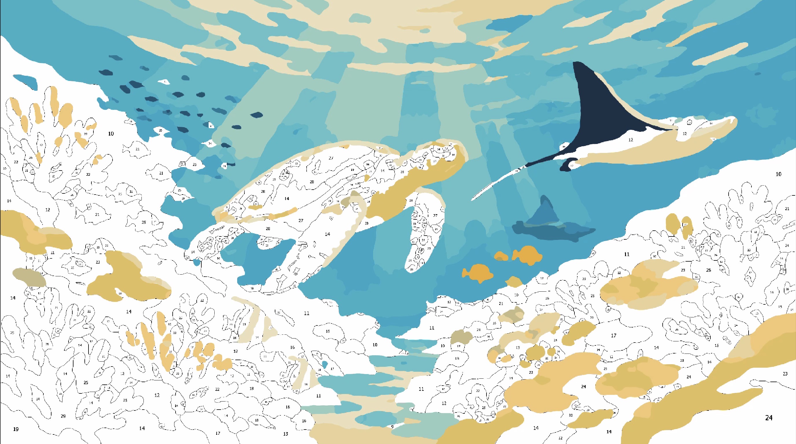 Watch Southern Reef Come to Life