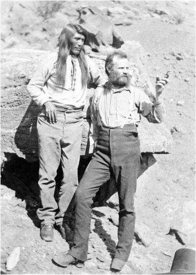 Image description