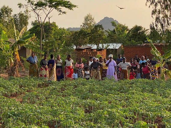 Farmers in Africa proud of theri healthy crops