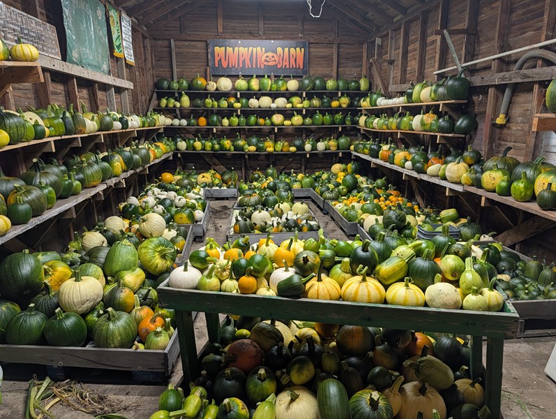 2026 Pumpkin Barn