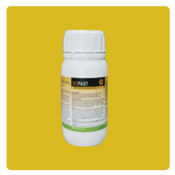 Insecticide