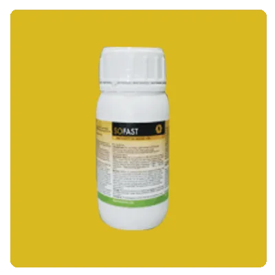 Insecticide