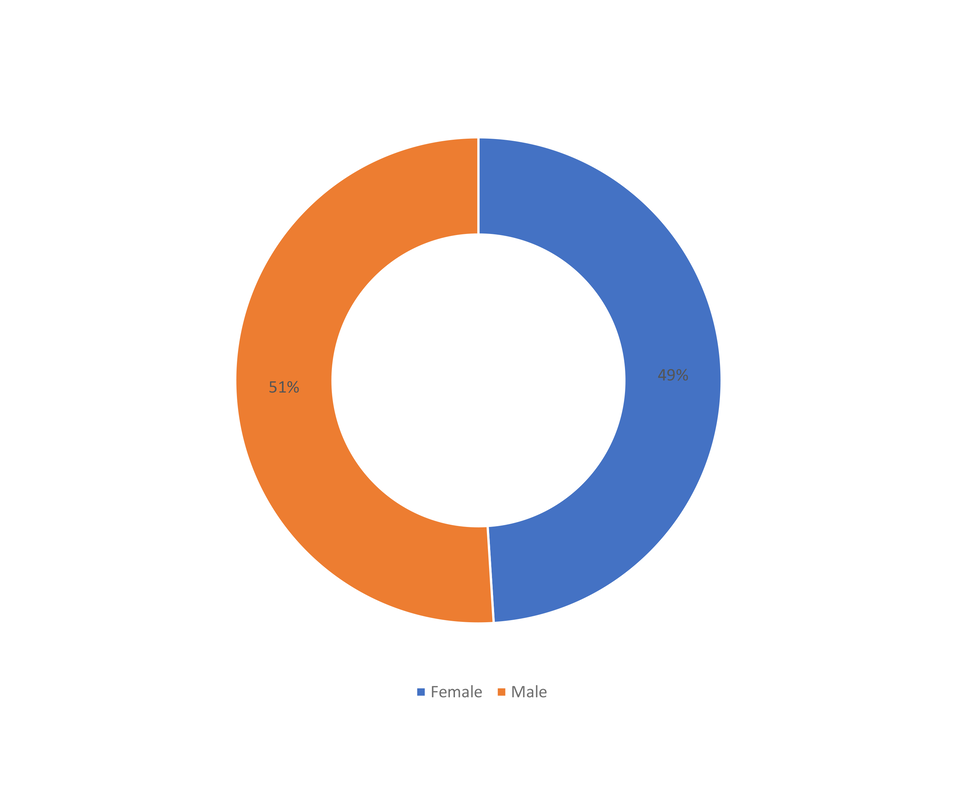 Gender structure of Peace and Conflict Resolution Conference participants