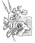 Image description