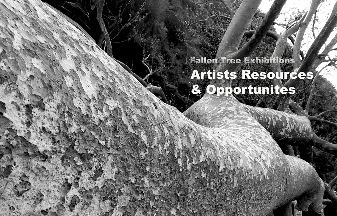 Fallen Tree Exhibitions Combined List of Artists Opportunities for March, 2024, by various credible sources. This month I’ve included additional opportunities. Good luck! #artistopportunites #callforartists #artopportunities #artgrants #artistresidencies #artjobs