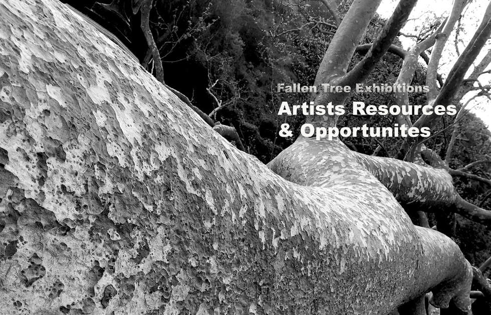 Fallen Tree Exhibitions artists resources and opportunities