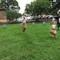 carousel chooser