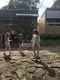 carousel chooser