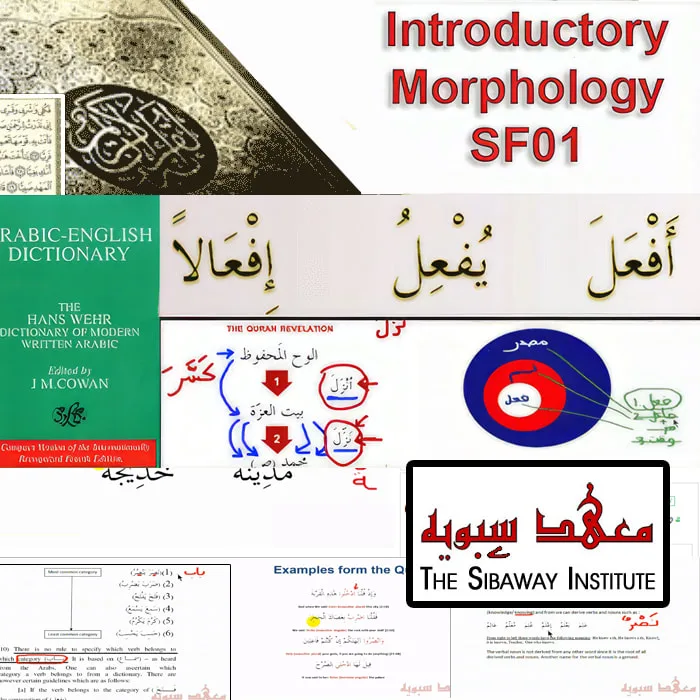 Introductory Morphology
