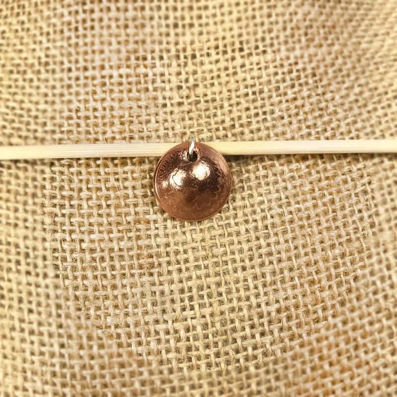 Lucky Penny (Indian Head) Necklace