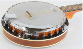Jameson 5 String Banjo