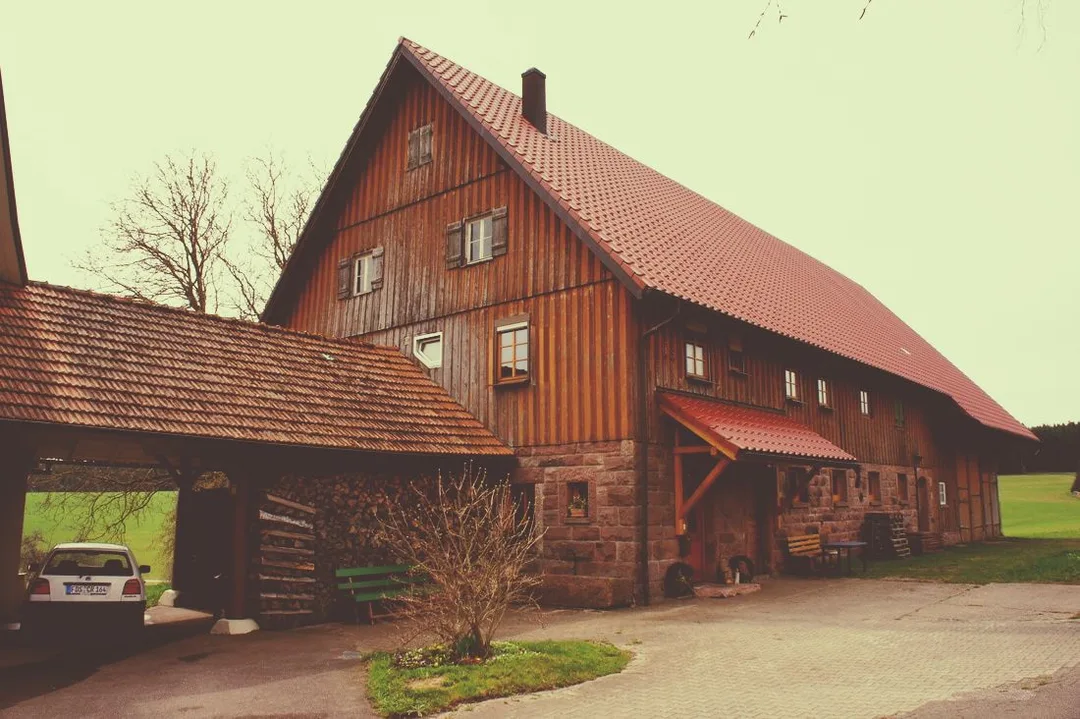 Picture