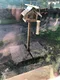 carousel chooser