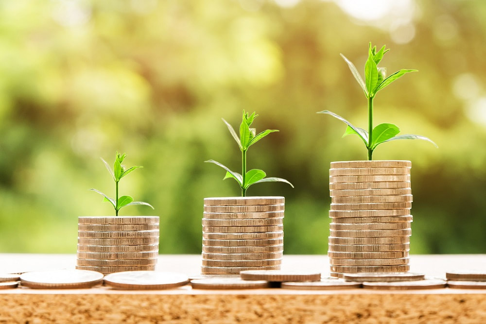 small plants growing on different levels of stacked pound coins_plastering and rendering services_gk rend