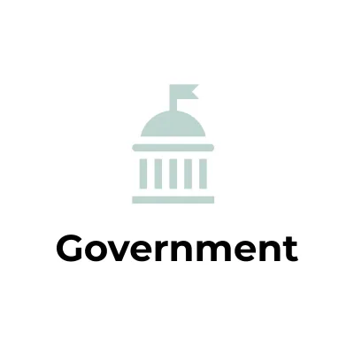 Financial Systems for Government