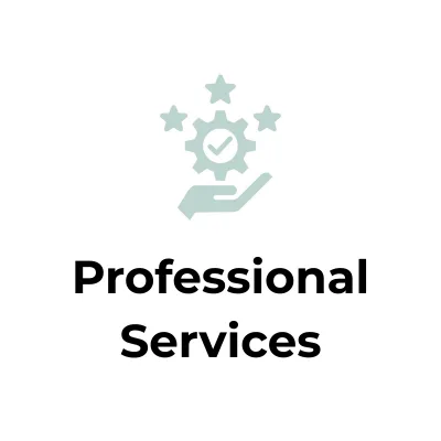 Financial Systems for Professional Services