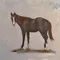 carousel chooser