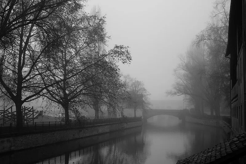 Paysage urbain et brumeux de Strasbourg mettant en scène la silhouette mystérieuse d'un arbre
