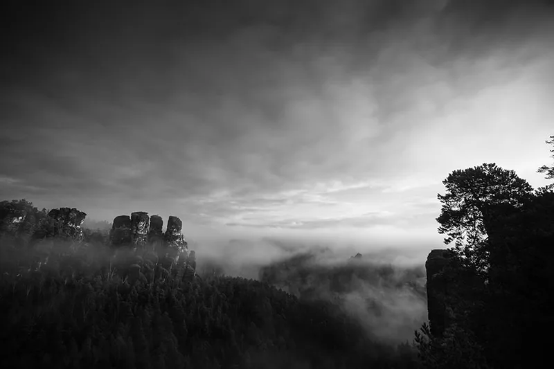 Paysage de montagne minimaliste où la brume enveloppe les arbres et les nuages