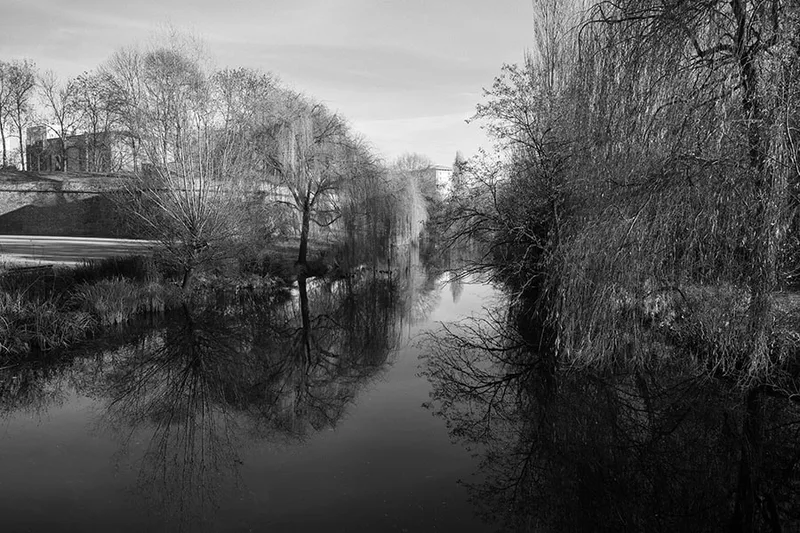 Reflets graphiques des arbres et de l'eau sur une rivière calme à Strasbourg