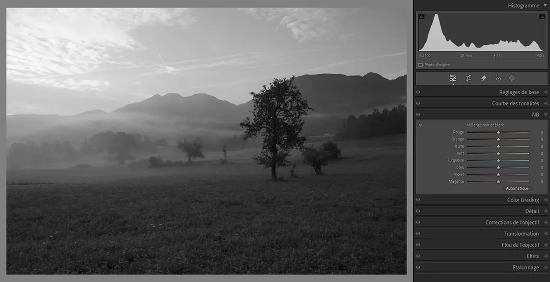 Conversion automatique en noir et blanc neutre du paysage sans aucun ajustement de contraste
