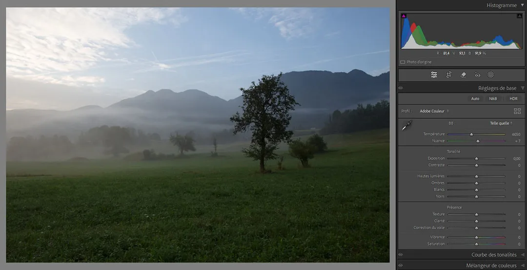 Fichier RAW d'origine en couleur montrant un paysage de campagne divisé entre l'herbe verte et le ciel bleu
