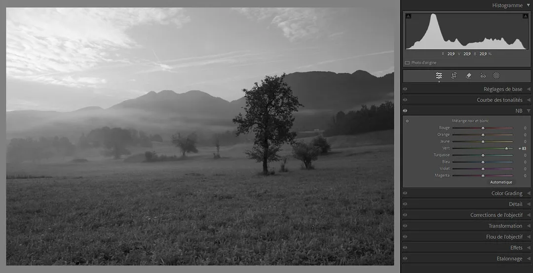Ajustement de la luminosité des verts dans Lightroom pour éclaircir de manière sélective l'herbe de la prairie