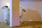 carousel chooser