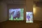 carousel chooser