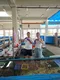 carousel chooser