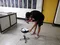 carousel chooser
